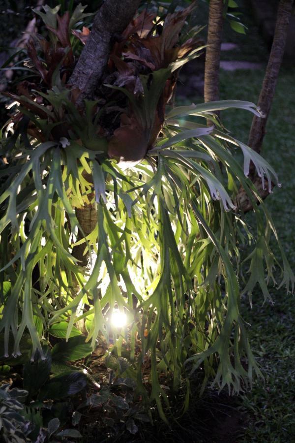 Sari House Ubud - Balinese Style Homestay Extérieur photo